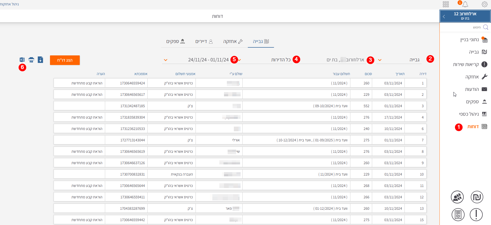 דוח גבייה מפורט.png